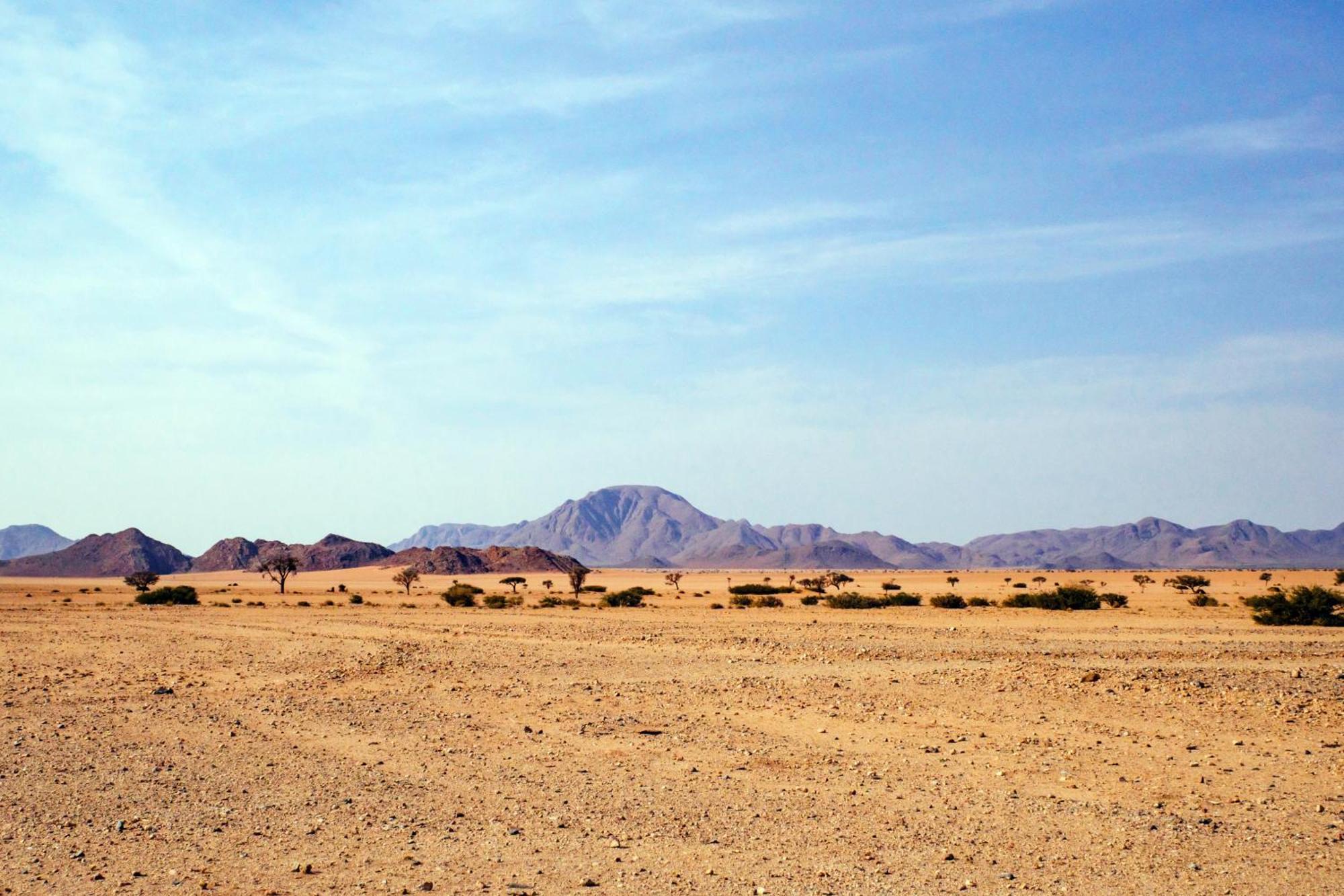 Neuhof Portion 2 Campsite سيسريم المظهر الخارجي الصورة
